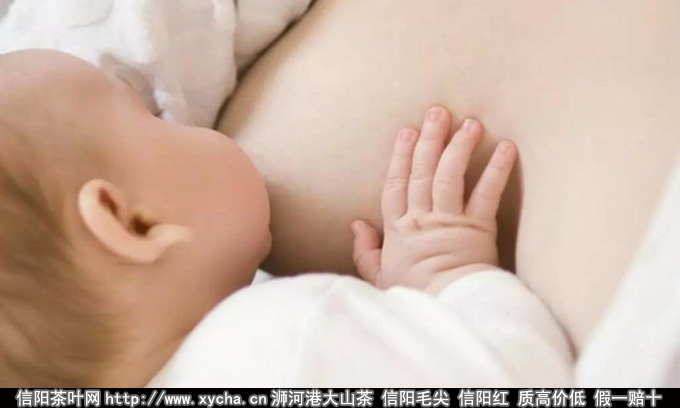 怀孕和哺乳期能喝信阳毛尖吗图