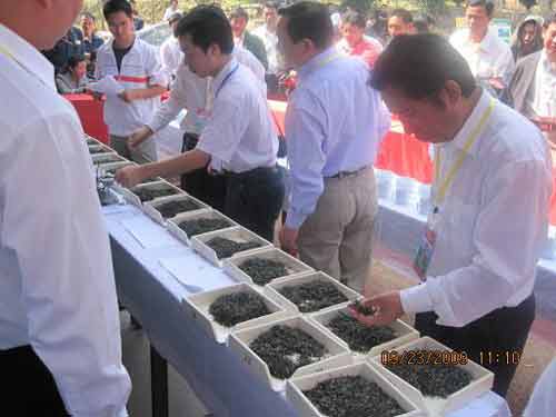 手工炒茶