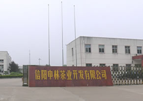 信阳申林茶业