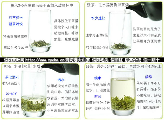 信阳毛尖的泡法_信阳毛尖怎么泡及方法图片