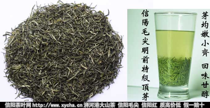 批发信阳毛尖