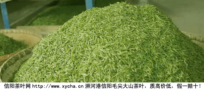 信阳毛尖图片及价格