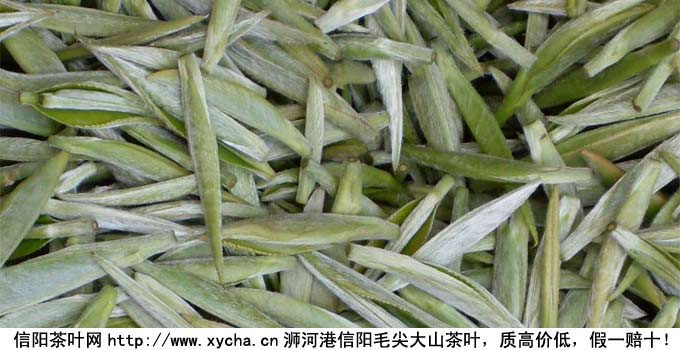 信阳毛尖牌茶叶价格