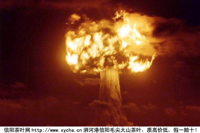 喝什么茶防核辐射