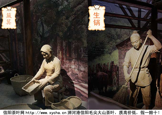 信阳毛尖手工炒制