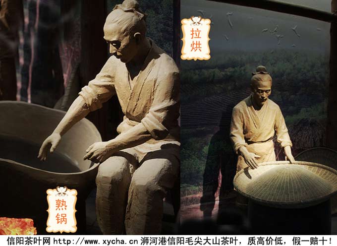 信阳毛尖手工制茶技术