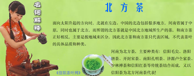 河南都有哪些茶好和种类北方茶