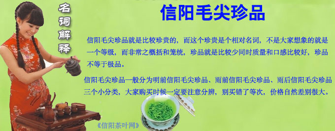 信阳毛尖珍品价格