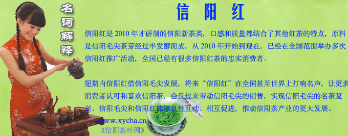 信阳红风暴上海