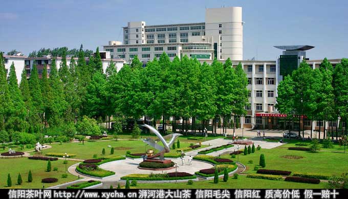 山水信阳·休闲茶都