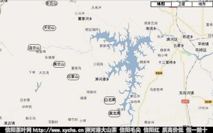 信阳毛尖的主要产地有哪些