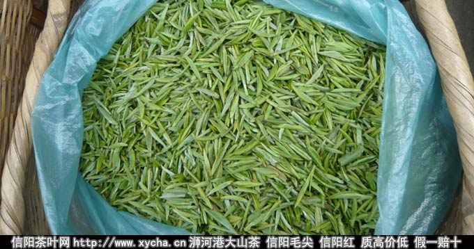 喝信阳毛尖有什么好处毛尖茶的好处有哪些