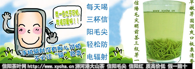 信阳毛尖防辐射