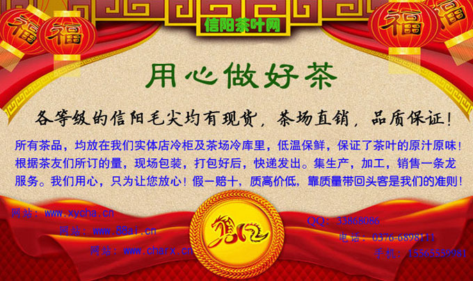 最好的信阳毛尖