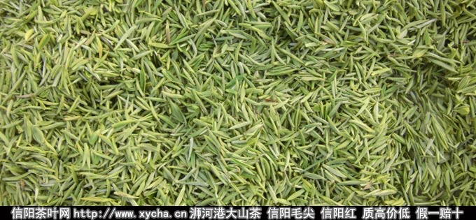 2013倒春寒对各地绿茶叶影响程度不同