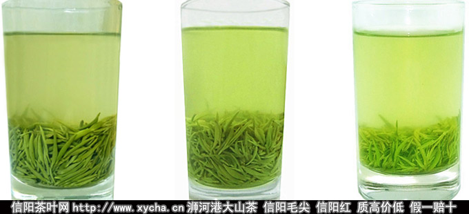信阳毛尖的冲泡次数多少道