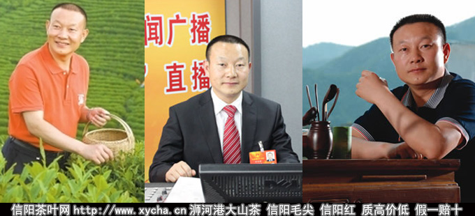 文新信阳毛尖信阳文新茶叶公司