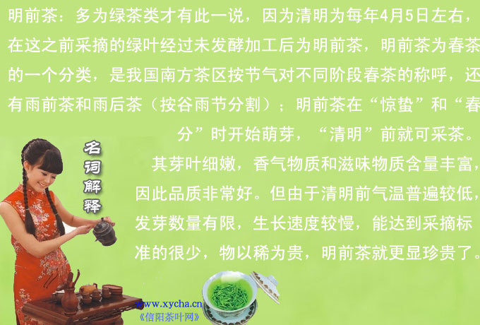 明前茶 明前茶多少钱一斤