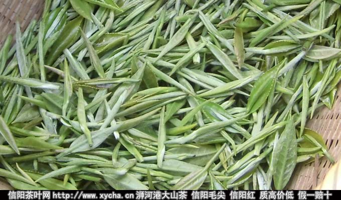 信阳毛尖深加工新产品或为发展新趋势