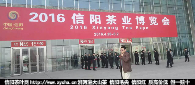 2016信阳茶叶节