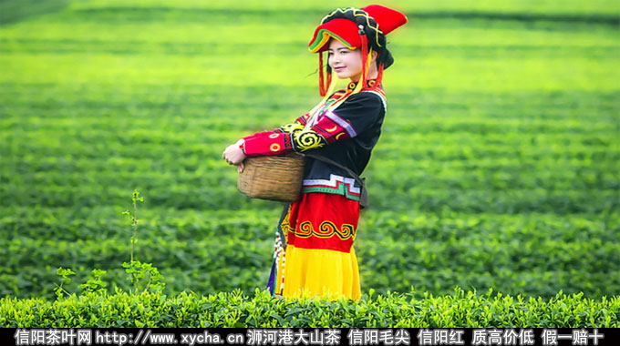 山东茶叶-山东绿茶:山东省天园茶叶有限公司介绍