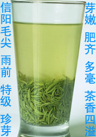 ǰë趥ѿƷ