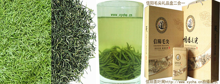 谷雨前信阳毛尖春茶特优绿茶