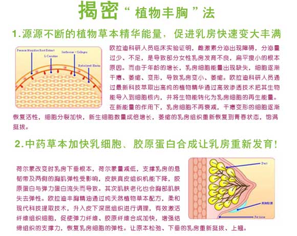 欧拉迪植物丰胸