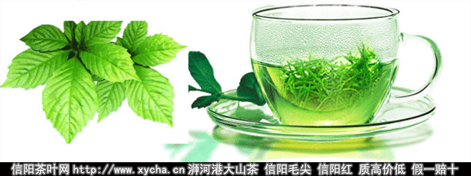 绞股蓝泡水喝的功效与作用及食用方法和副作用