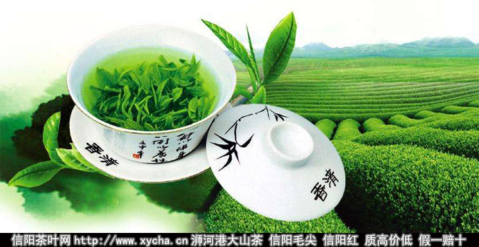 茶氨酸的功效与作用