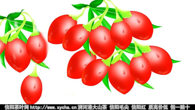枸杞子的作用与功效