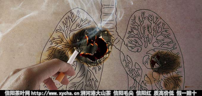 清肺茶有哪些谈抽烟喝什么茶清肺效果好图片
