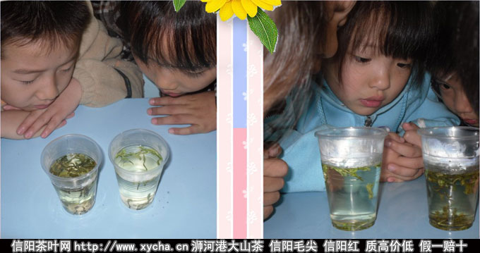 儿童或小孩子能喝牛蒡茶吗