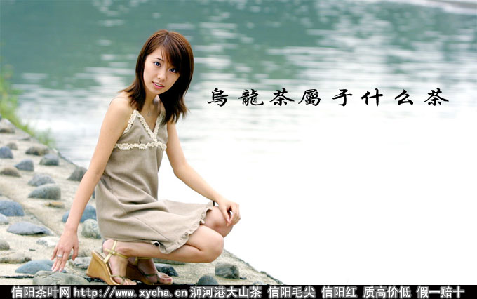 乌龙茶属于什么茶是红茶或绿茶图片