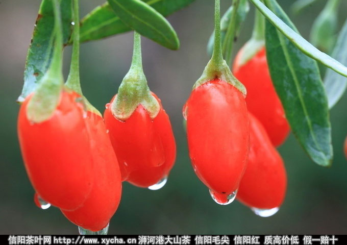 轵ĹЧ