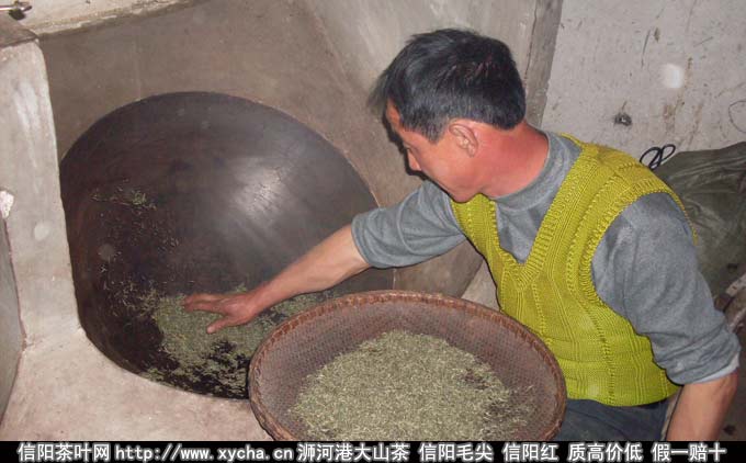 信阳毛尖的味道