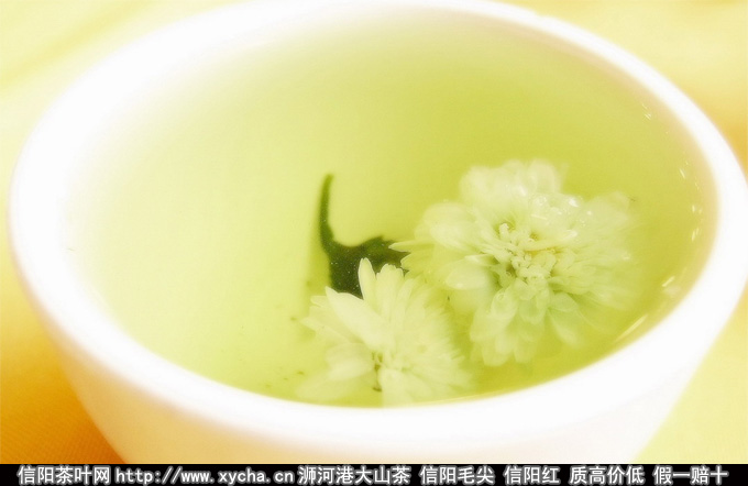 菊花茶的种类和品种有哪些