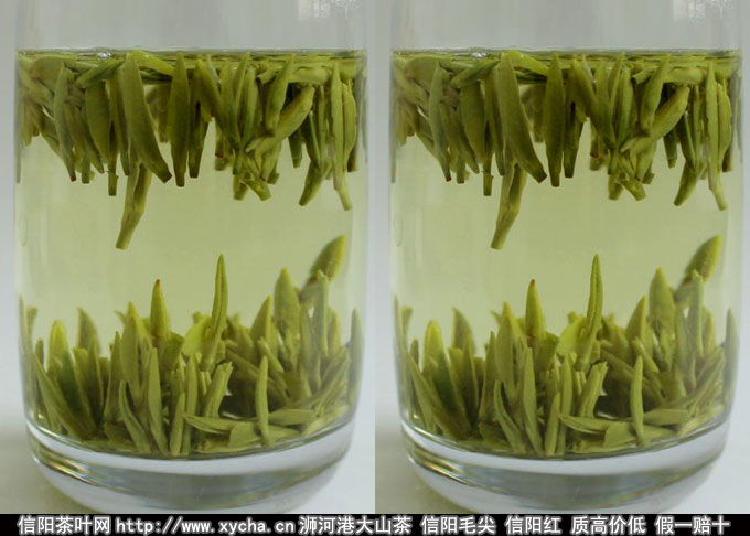 竹叶青茶怎么样好吗及功效