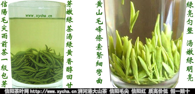 毛峰和毛尖的区别