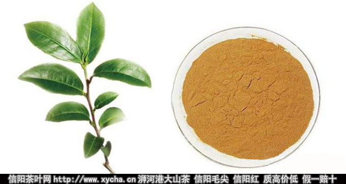茶多酚的功效与作用及茶多酚的副作用解析