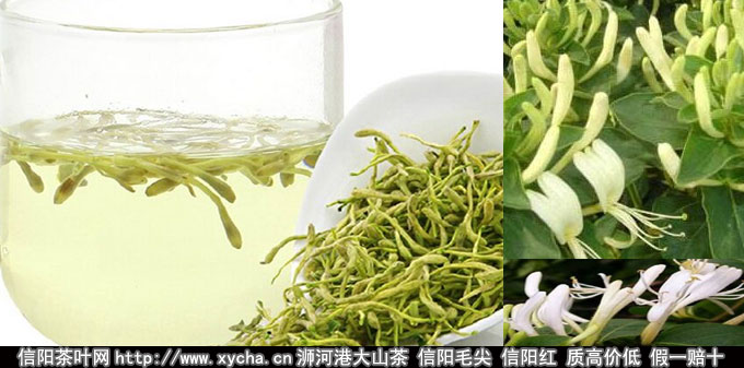 金银花茶的功效与作用泡水喝的功效好