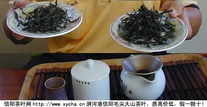 半发酵茶