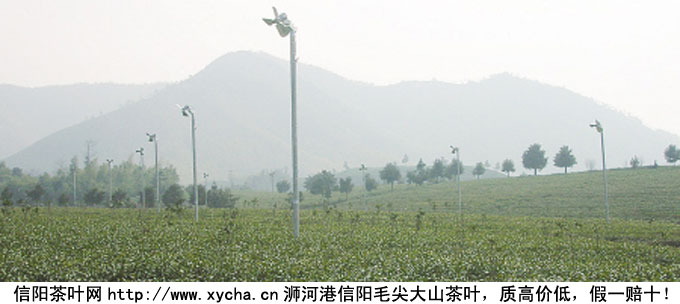 茶叶吹风扇