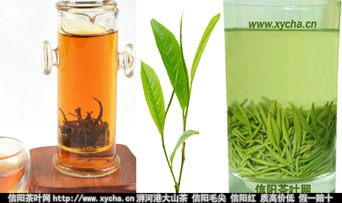 红茶和绿茶的区别与哪个好