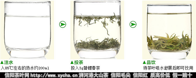 碧螺春的泡法_碧螺春怎么泡_碧螺春泡法_碧螺春的冲泡方法图片