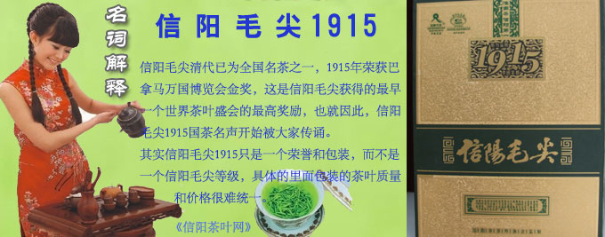 信阳毛尖1915价格