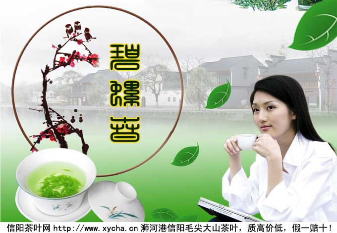 碧螺春属于什么茶