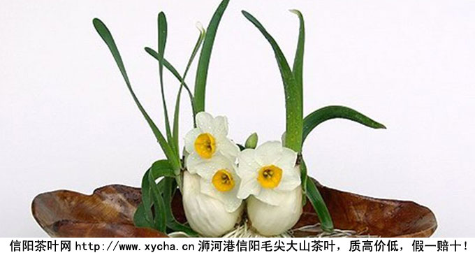龙井茶的功效