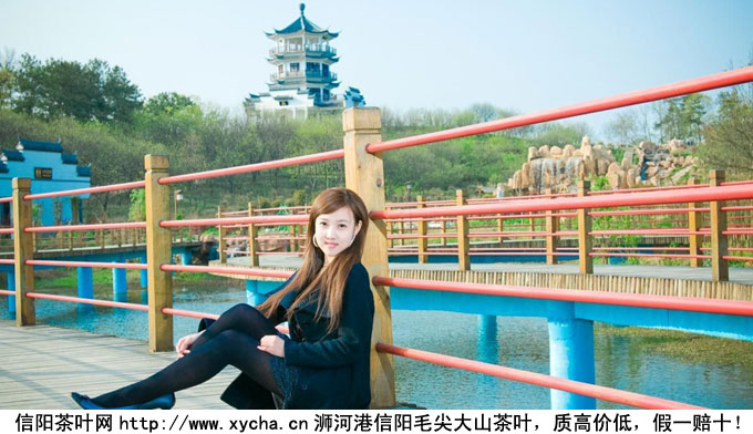 2011都匀毛尖价格