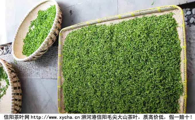 碧螺春多少钱一斤